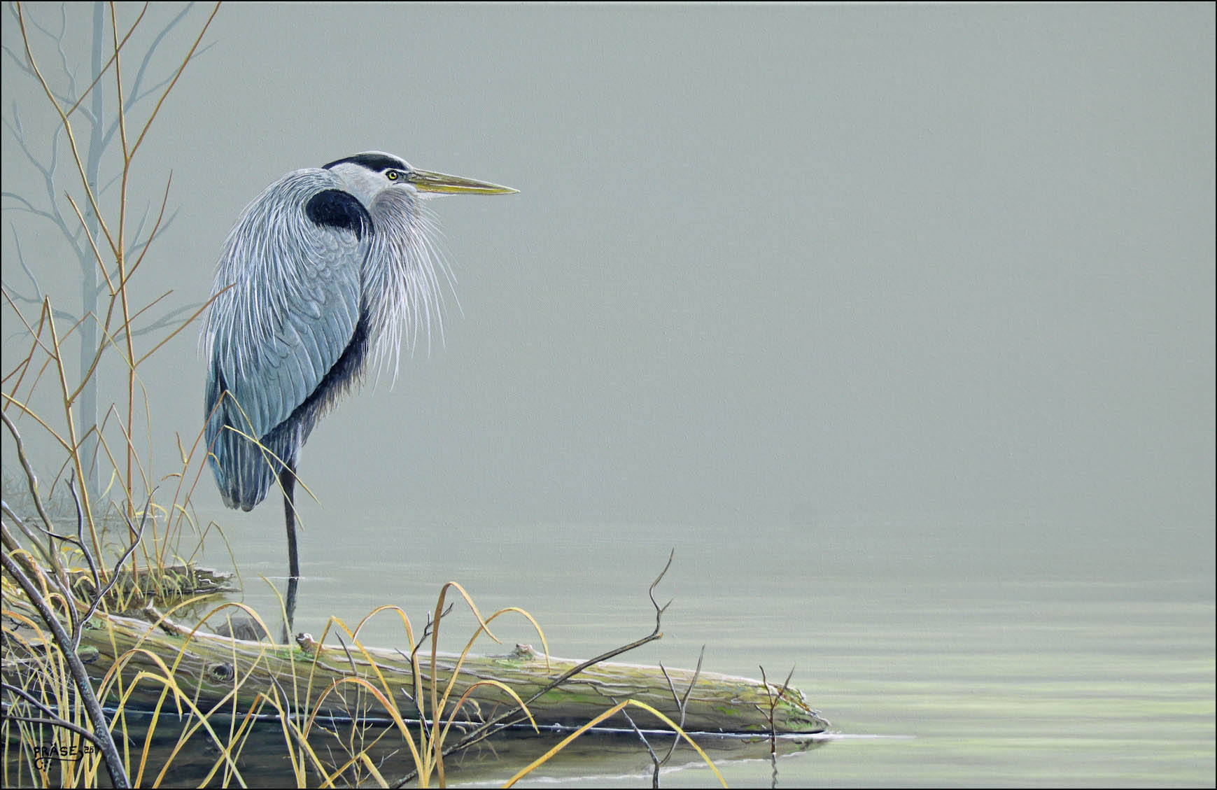 NOVEMBER FOG - GREAT BLUE HERON by Michael Fräse